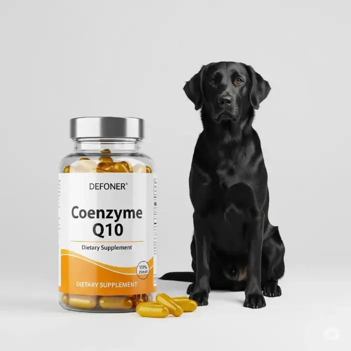 Coenzyme Q10 for Heart Health and a grown-up dog