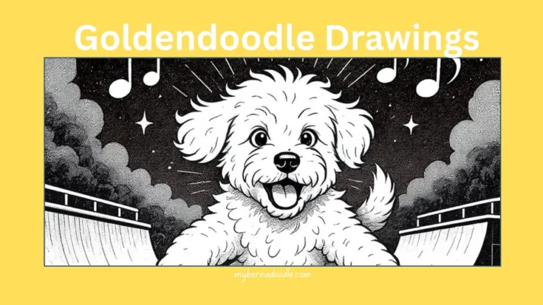 Feature image of goldendoodle drawings