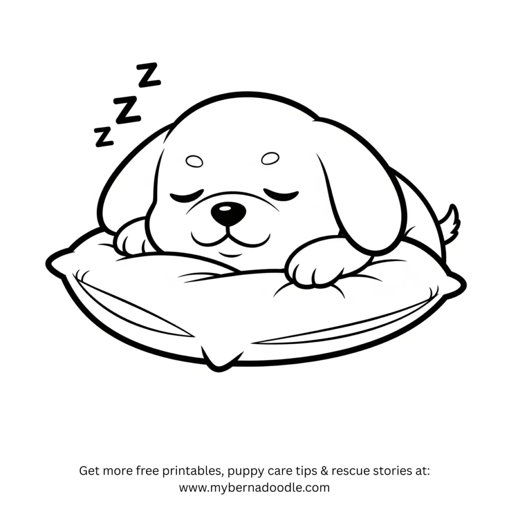 Dog drawing 1