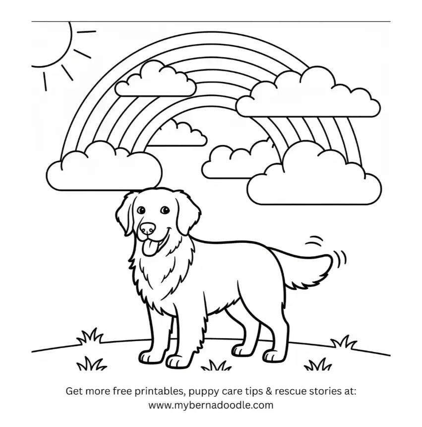 Golden Retriever Drawing12