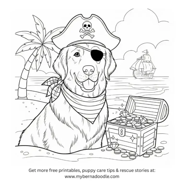 Golden Retriever Drawing13