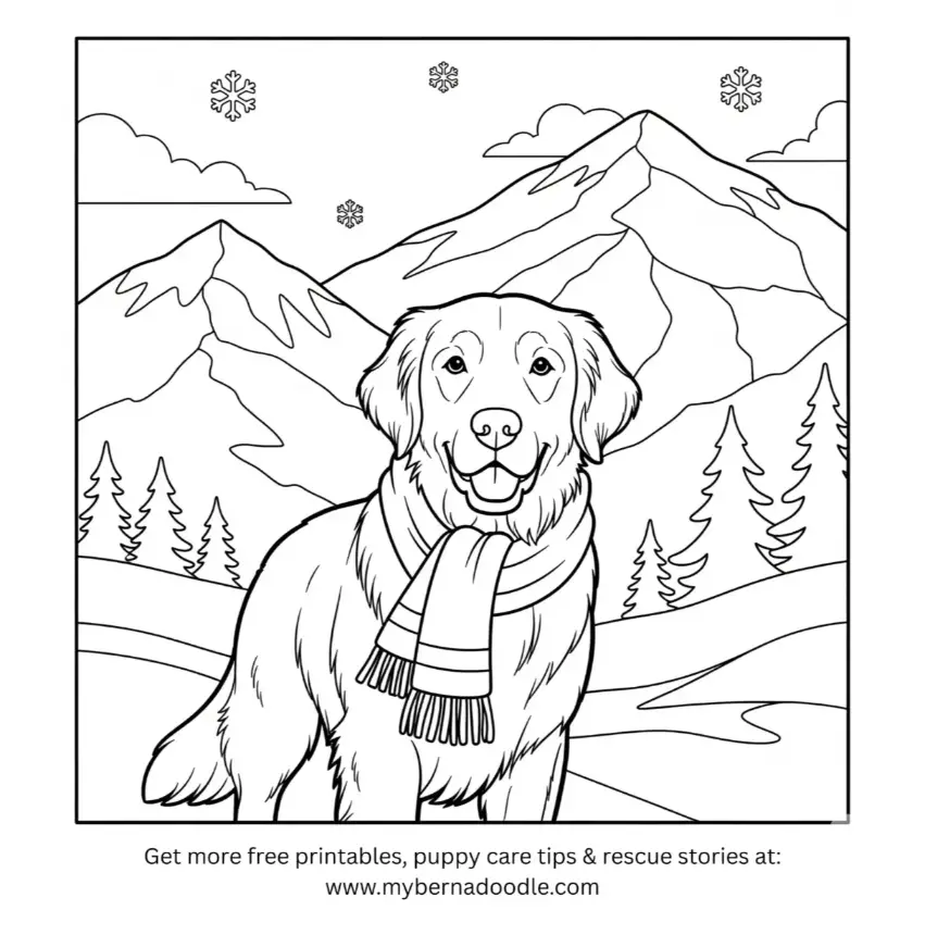 Golden Retriever Drawing 14