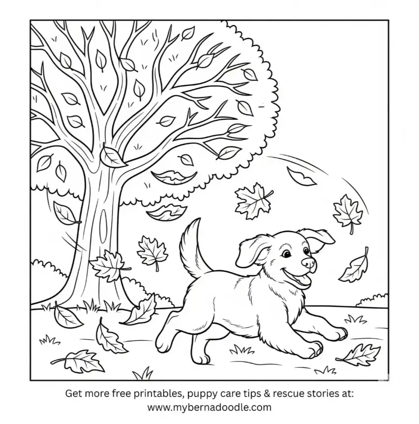 Golden Retriever Drawing17