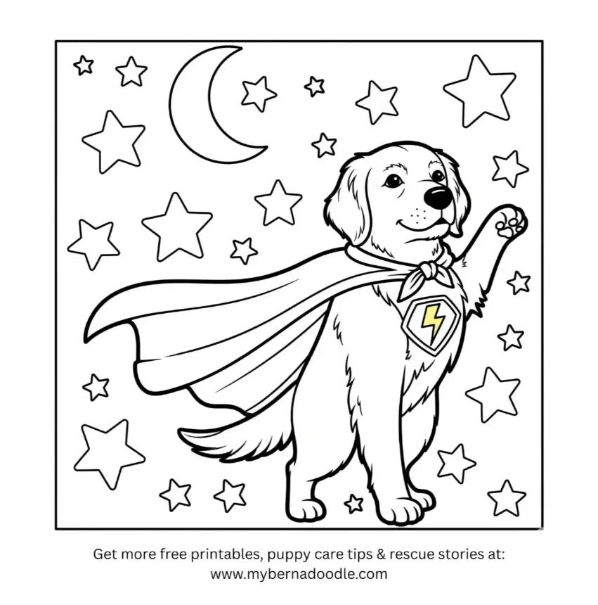 Golden Retriever Drawing4