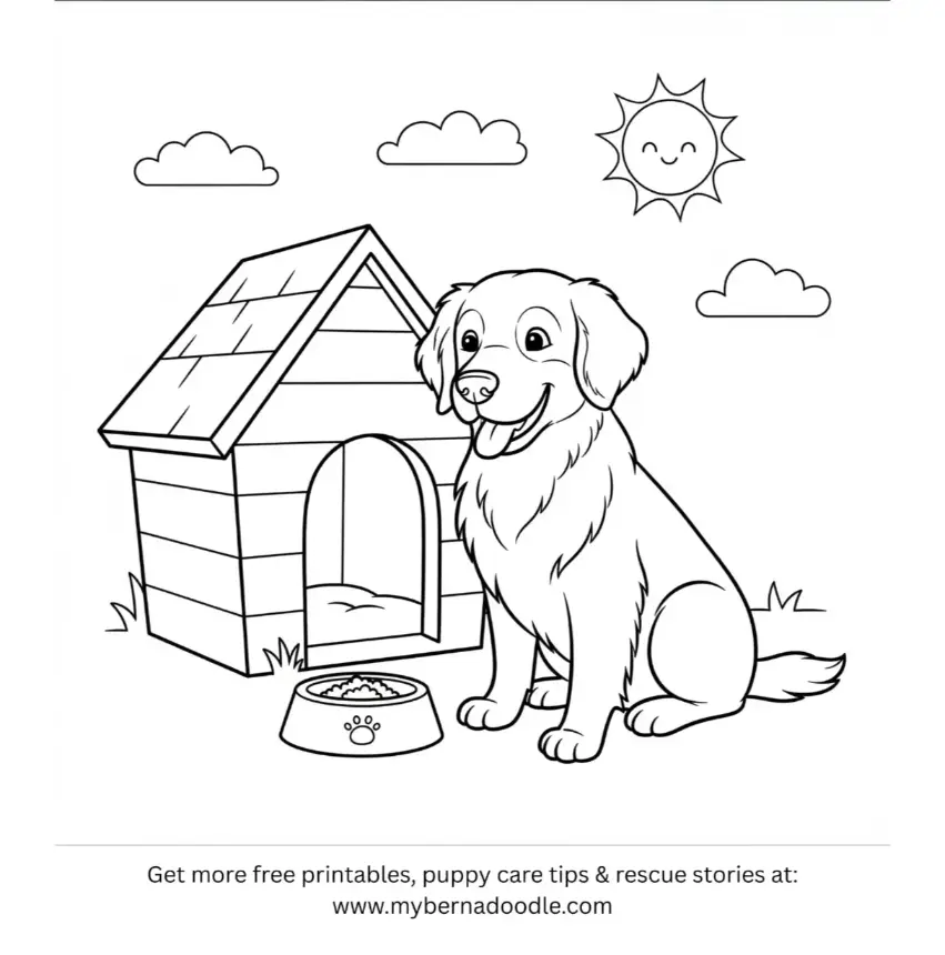 Golden Retriever Drawing8