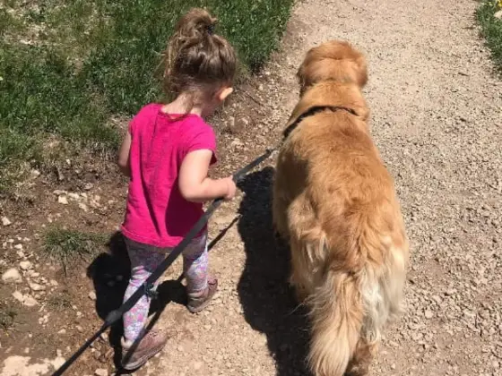 Golden Retriever with kids 1