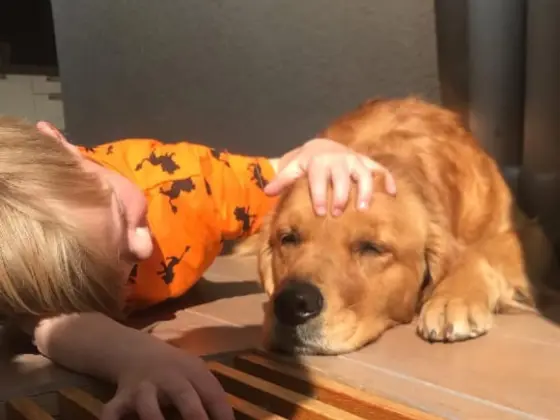 Golden Retriever with kids 5