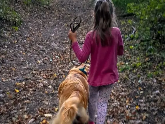 Golden Retriever with kids 7