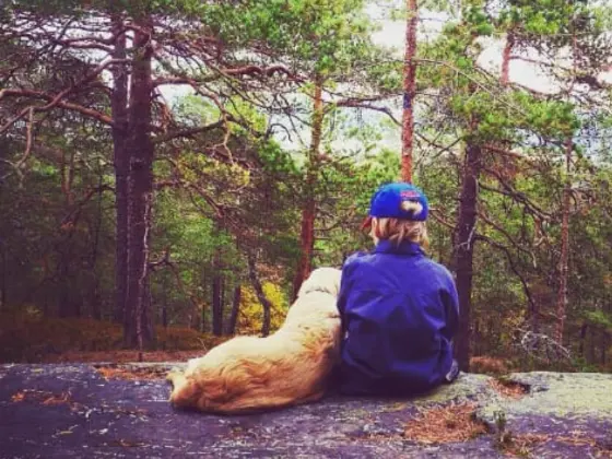Golden Retriever with kids 8