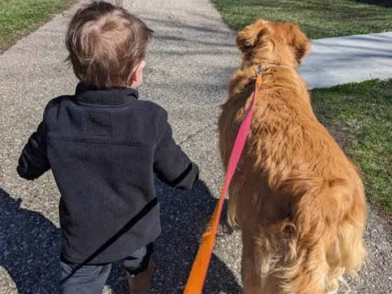 Are Golden Retrievers Good With Children?