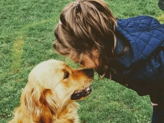 Golden Retriever with kids